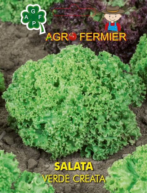 Salata Creata Agro Flor Prod