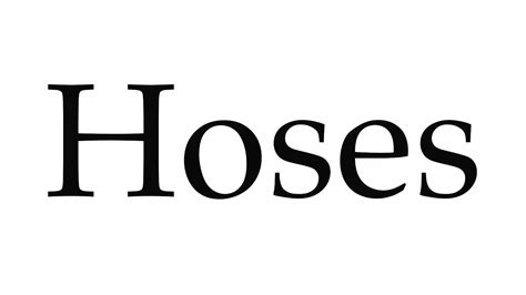 Pronunciation Of Hose Definition Of Hose Atelier Yuwa Ciao Jp