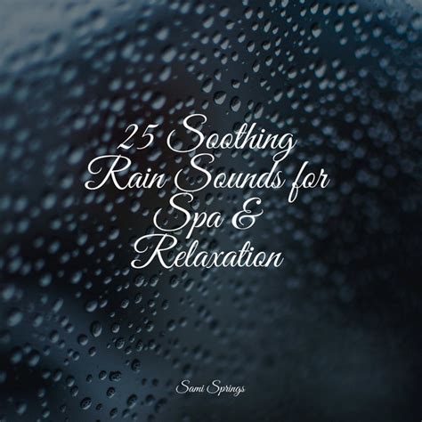 25 Soothing Rain Sounds For Spa And Relaxation Album By The Rain