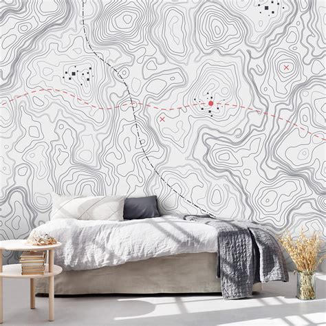 Topographic Topo Map Wallpaper, Black White Background Wall Mural ...