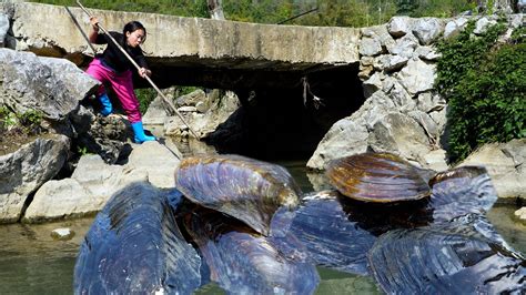 I Pried Open The First Giant Clam And The Pearls Inside Shone