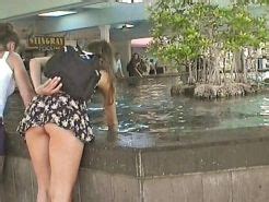 Amateur Upskirt Erotica 3 By Twistedworlds Porn Pictures XXX Photos Sex Images 501035 PICTOA