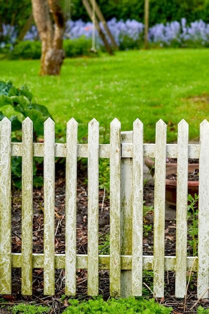 Cerca De Piquete Branca E Grama Verde Em Um Jardim Ou Parque Closeup De