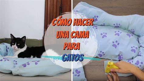 Cómo hacer una cama para gatos YouTube