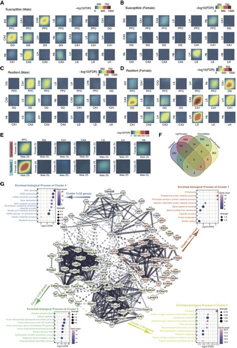 Integrative Analysis Identifies Region And Sex Specific Gene Networks