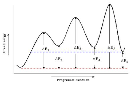 Solved In the reaction coordinate diagram seen below, which | Chegg.com