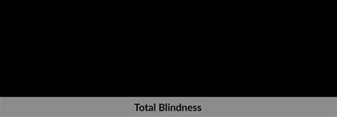 Total Blindness Beyond Blind Interactive