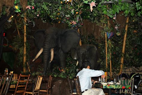 Treasured Mom Ents Its A Jungle Inside Rainforest Cafe