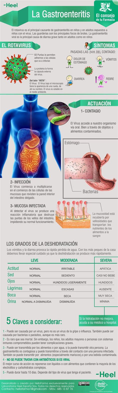 La Gastroenteritis Cómo Se Contagia Y Cuales Son Sus Síntomas