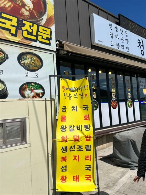 맛집동해 청솔식당 묵호항 물회 회비빔밥 네이버 블로그