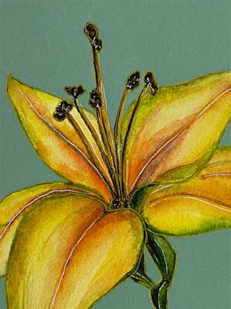 Yellow Lily Flower Painting By Rashi Agrawal Exotic India Art