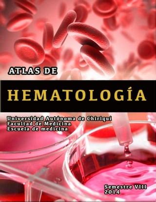 Mini Atlas De C Lulas Sangu Neas Esquemas Y Mapas Conceptuales Hematolog A