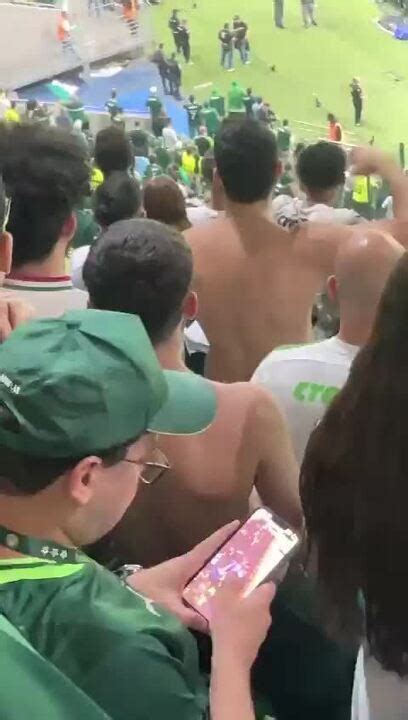 Vídeo Palmeirense joga no celular durante eliminação do Palmeiras na