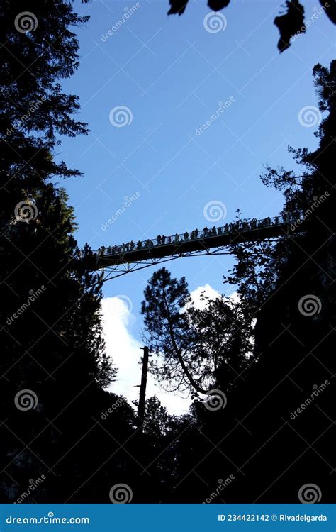 Castelo Neuschwanstein Alemanha Foto De Stock Imagem De Nobreza