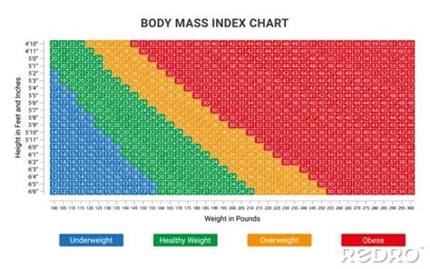 Fototapeta Body Mass Index Bmi Chart Calculate Your Bmi Normal Bmi