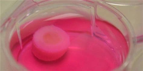 Image Of The Day 3 D Bioprinting The Scientist Magazine®