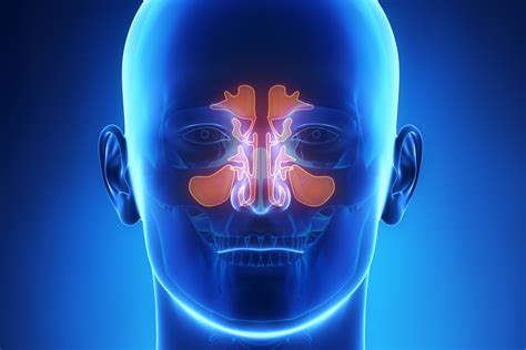 Sinus Infections Signs And Dangers Prestige Er No Wait