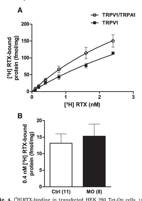 Figure 4 From Modulation Of Transient Receptor Vanilloid 1 Activity By