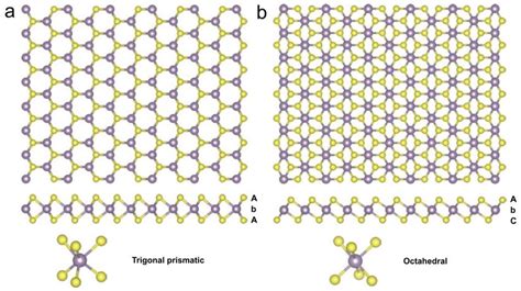 3 A Schematic Representation Of The Atomic Structure Of Transition Download Scientific Diagram