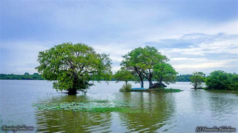 Ancient Wahalkada Wewa Reservoir