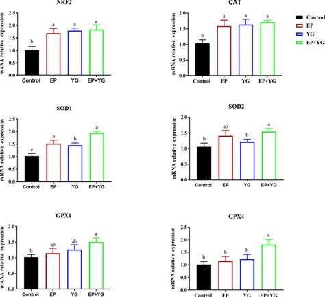 The Mrna Expression Of Antioxidant Related Genes In The Jejunum Of