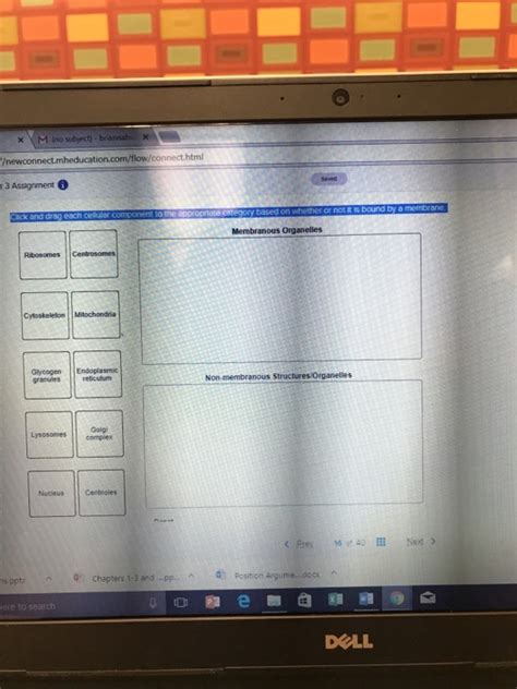 Solved Click And Drag Each Cellular Component To The Chegg