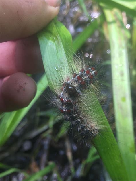 157 best Pine Barrens images on Pholder | Newjersey, Earth Porn and