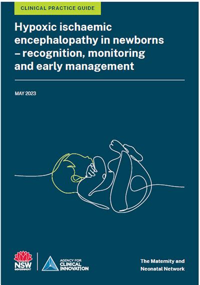 Hypoxic Ischaemic Encephalopathy In Newborns Recognition Monitoring And Early Management