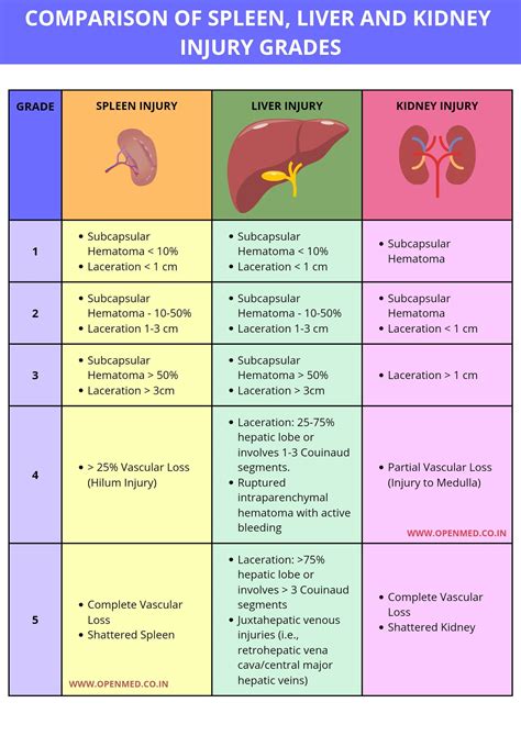 Comparison Of Spleen Liver And Kidney Injury Grades Rfoamed