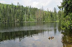 Category Prášilské jezero Wikimedia Commons