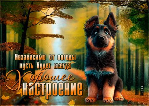 Независимо от погоды пусть будет всегда хорошее настроение- Скачать ...