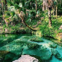 Lazy Rivers In Florida That Are Perfect For Tubing On A Summers Day