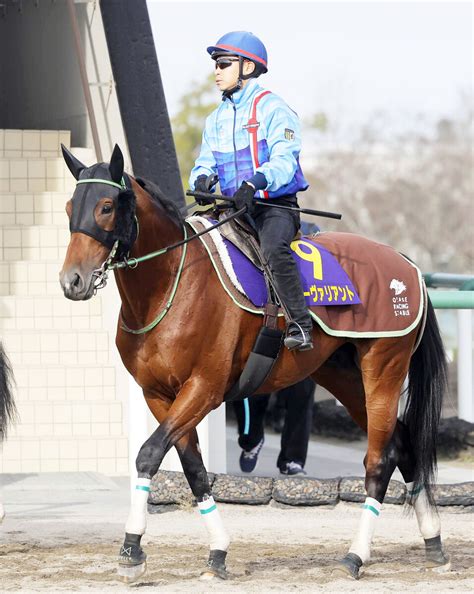 【池添謙一のken To 1】マイルcsは条件好転のソーヴァリアントで一発 Umatoku 馬トク