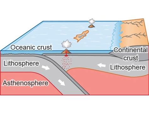 Plate Tectonics Flashcards Quizlet