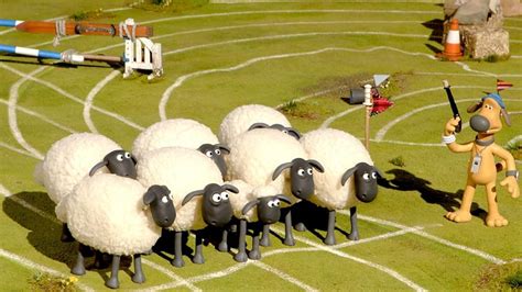 Shaun The Sheep Championsheeps Steeplechase Tv Episode Imdb