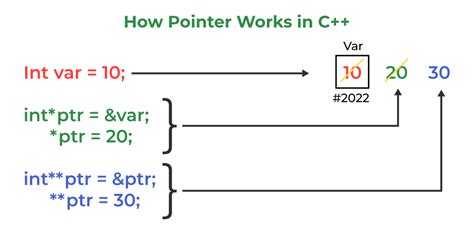 C Pointer To Pointer Double Pointer Geeksforgeeks