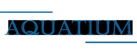 Технология очистки воды в аппарате ПВВК | Aquatium.ru