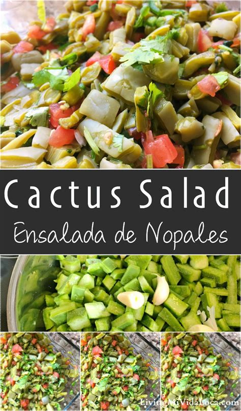 Mexican Cactus Salad Recipe Nopalitos Recipe Cactus Salad Mexican