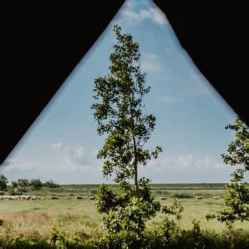 Boerenbed De Zeekraal Schapenboer Op Terschelling