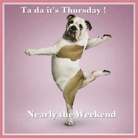 Its Thursday Almost The Weekend Funny Thursday Quotes Happy Thursday