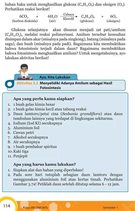 Ipa 8 Kd4 Struktur Dan Fungsi Akar Batang Daun Dan Bunga PDF