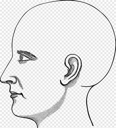 Outline Side Profile Of A Human Male Head Male Profile Vector Sketch