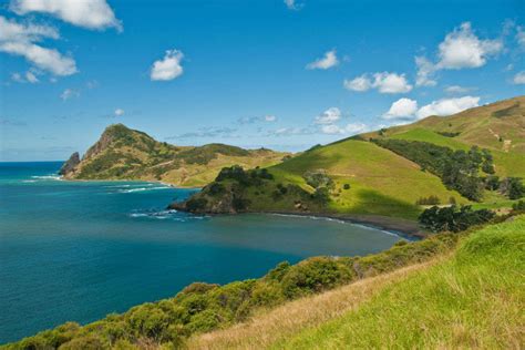 Beaches In Coromandel, New Zealand | Hot Water Beach, Coromandel | Times of India Travel