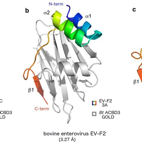 Structural Characterization Of Selected Gold 3a Complexes A C Overall Download Scientific