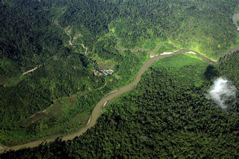 Mengenal Ekosistem Leuser Dari Dekat Buka Laman Google Ini