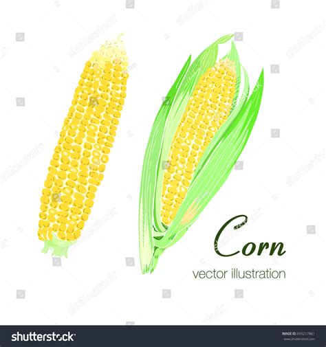 Vector Illustration Hand Drawn Corns Colorful Stock Vector Royalty