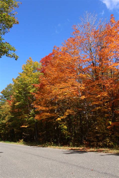 Autumn Splendor Corel Discovery Center