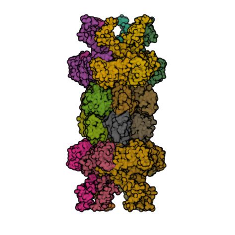 Rcsb Pdb G B Crystal Structures Of The Hslvu Peptidase Atpase