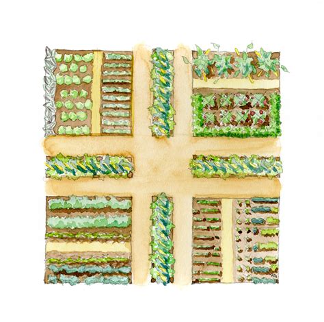 Vegetable Garden Drawing at PaintingValley.com | Explore collection of ...