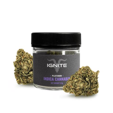 All Cannabis Products - Ignite